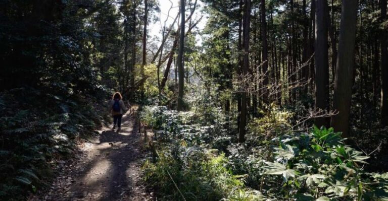 From Kamakura: Daibutsu Hiking Trail Tour with Local Guide - An In-Depth Look at the Experience