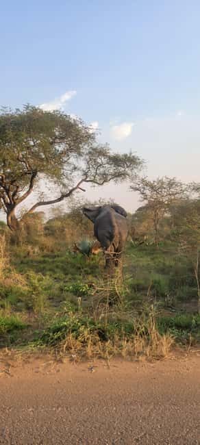 From Kampala: 2-Day Murchison Falls National Park Vacation - Whats Included and Whats Not