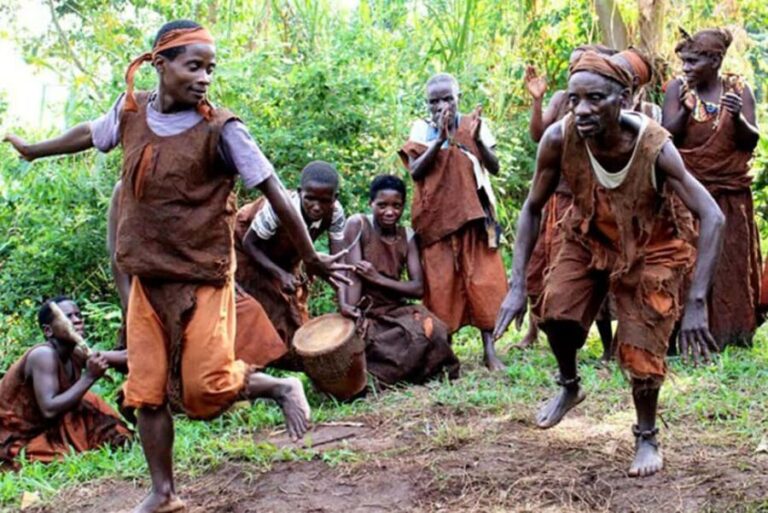 From Kampala: 3-Day Gorilla Trekking Safari to Bwindi - Detailed Itinerary Breakdown