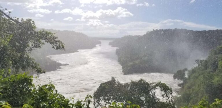 From Kampala: 3-Day Murchison Falls Safari with Rhino Trek - Day 2: Game Drive and Boat Cruise
