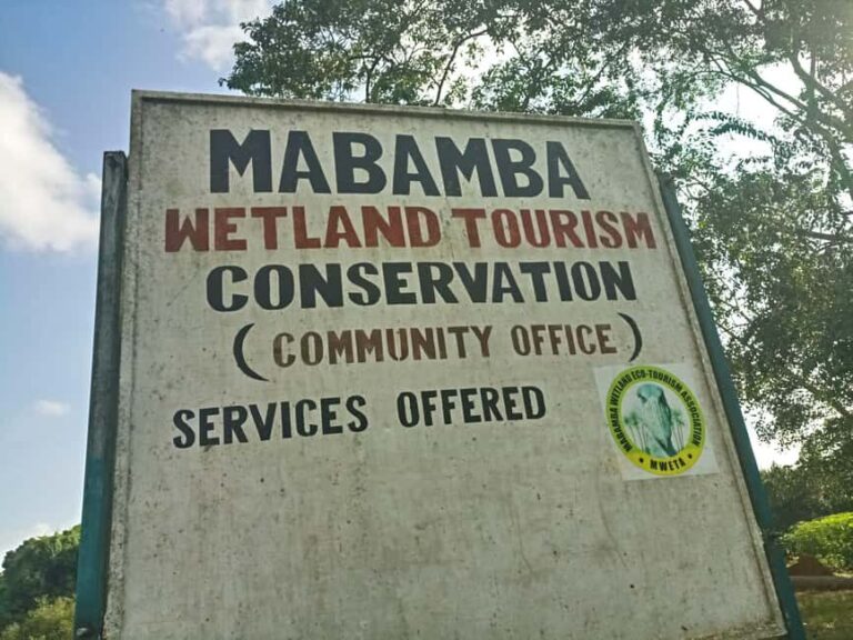 From Kampala: Mabamba Swamp Birding Half-Day Tour - Discovering Mabamba Swamp: An Overview