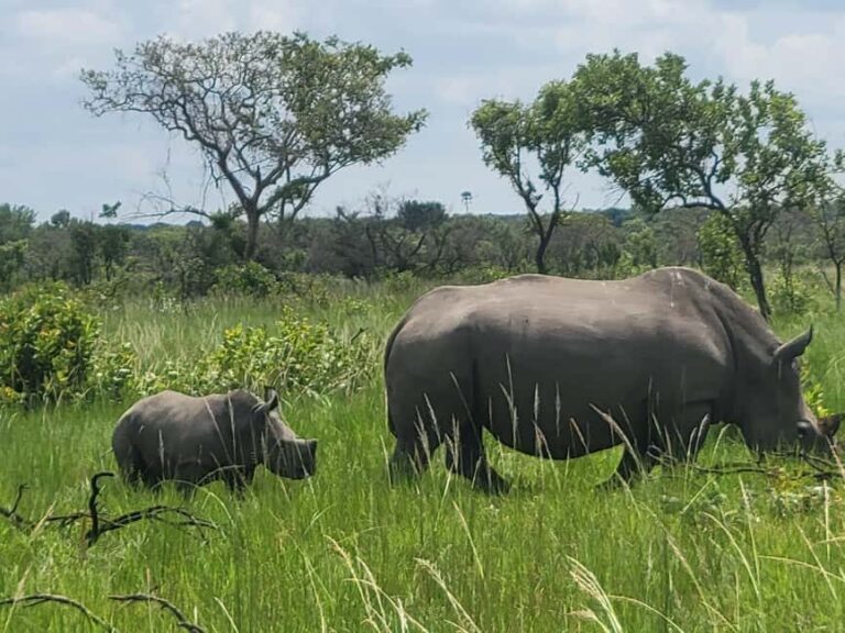 From Kampala: Ziwa Rhino Sanctuary Day Tour with Lunch - What’s Included and What’s Not