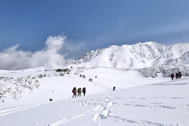 From Kanazawa/Toyama: Snow Wall & Mysterious Valley Day Tour - The Itinerary in Detail