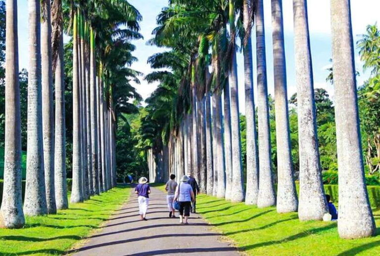 From Kandy: All Inclusive Full-Day Tour in Kandy - Private - What Travelers Say