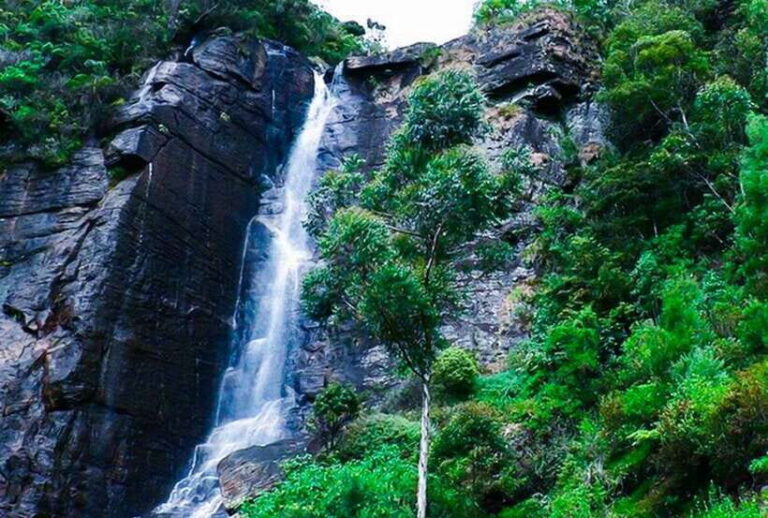 From Kandy: All Inclusive Nuwara Eliya Day Tour with Lunch - Analyzing the Itinerary: What Makes This Tour Stand Out