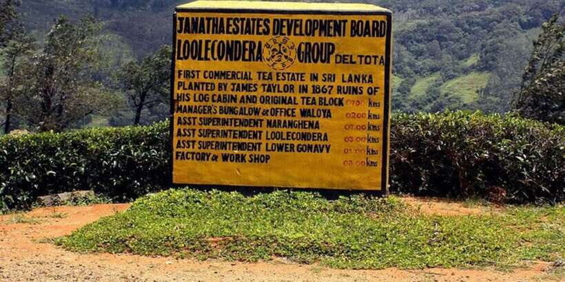 From Kandy: James Taylors Tea Tour (The Tale of Ceylon Tea) - Who Will Love This Tour?