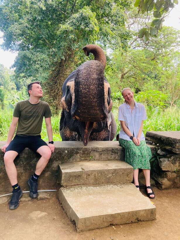 From Kandy : Pinnawala Elephant Orphanage & Ambuluwawa Tower - Who Will Appreciate This Tour?