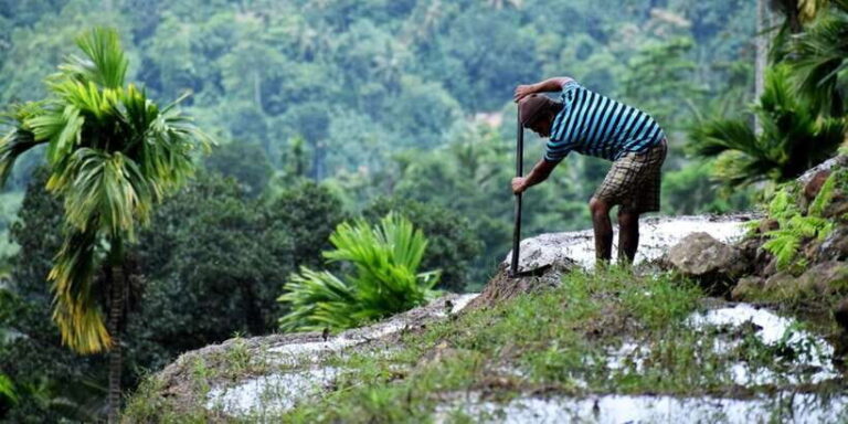 From Kandy: Private Guided Hike to Heeloya - What Travelers Say