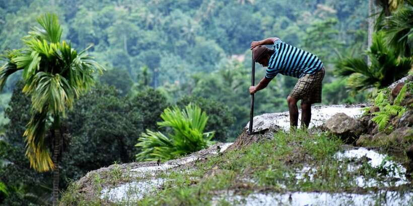 From Kandy: Private Guided Hike to Heeloya - What Travelers Say