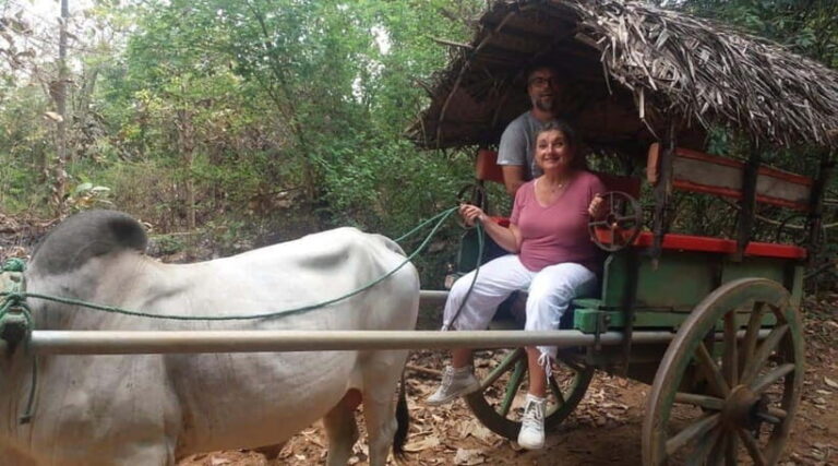 From Kandy: Sigiriya and Pidurangala Rock Tuk Tuk Day Tour - Who Will Love This Tour?