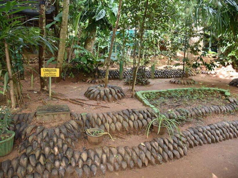 From Kandy: Sigiriya Guided Tuk-Tuk Tour - What You Can Expect from This Tour