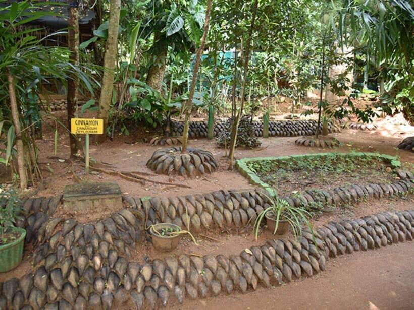 From Kandy: Sigiriya Guided Tuk-Tuk Tour - What You Can Expect from This Tour