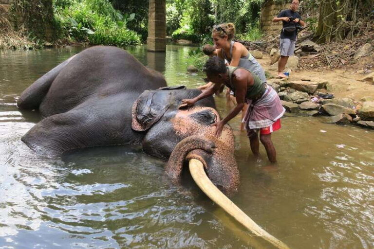 From Kandy To Pinnawala Private Day Tour via Ambuluwawa - Ambuluwawa: Panoramic Views and Spiritual Serenity