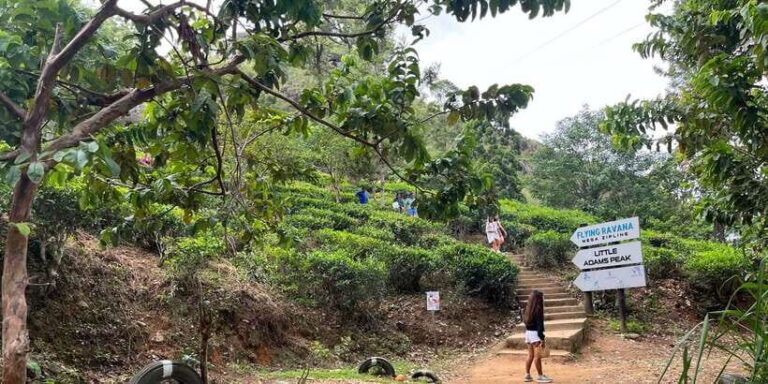 From kandy Train, and Pool Club Day Tour with Pickup - A Detailed Look at the Tour Experience