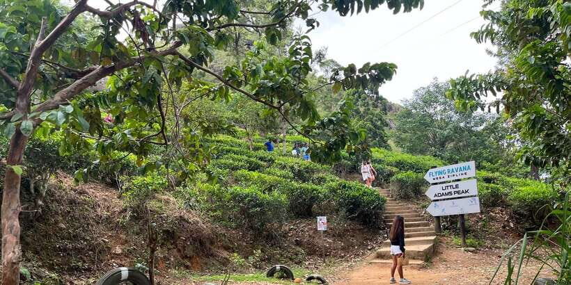 From kandy Train, and Pool Club Day Tour with Pickup - A Detailed Look at the Tour Experience