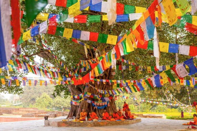 From Kathmandu: 1-Day Lumbini Tour by Airplane - Final Thoughts: Is This Tour Right for You?