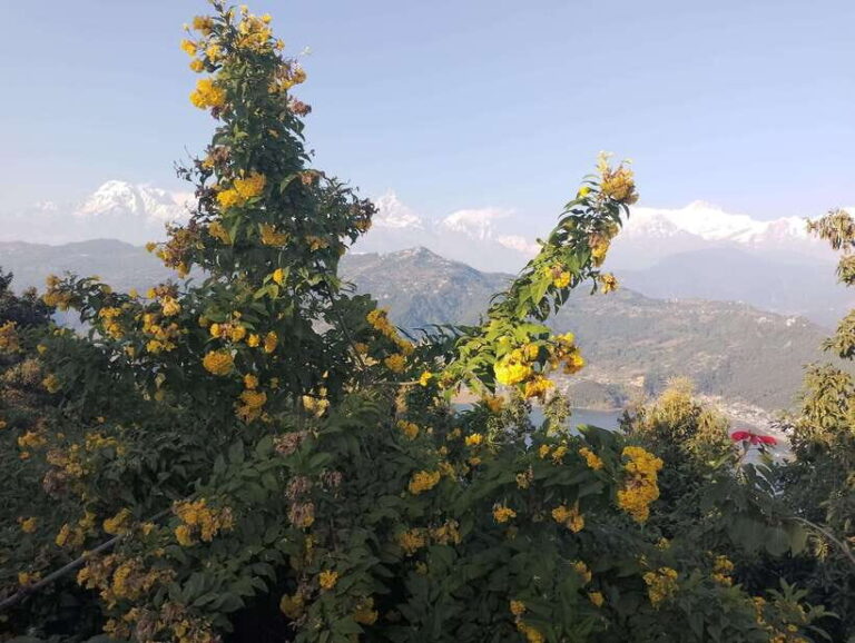 From Kathmandu: 10-Day Nepal Heritage and Nature Tour - What We Think About the Value