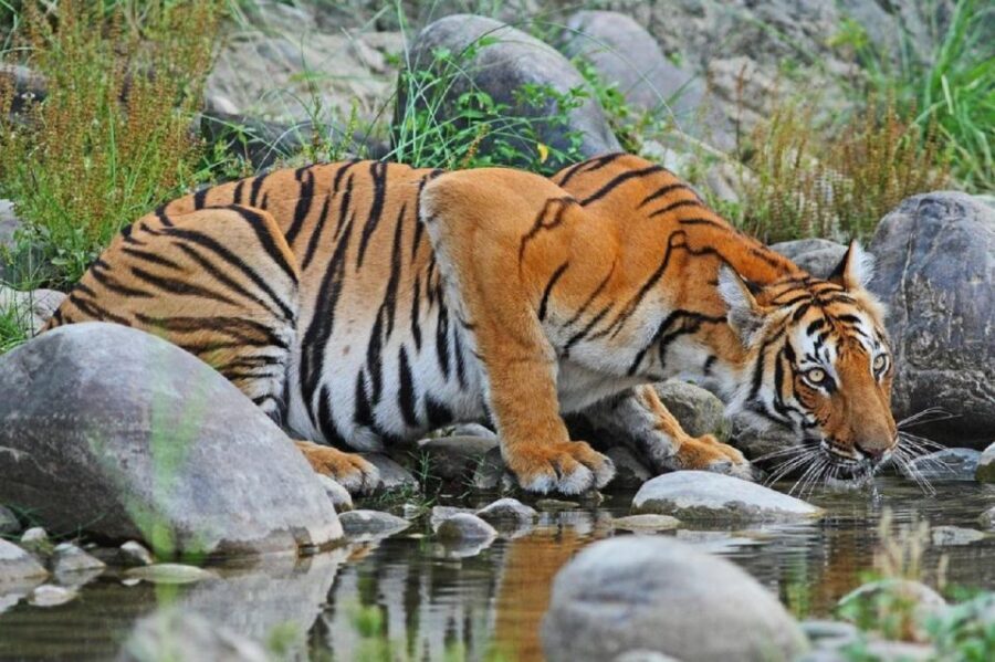 From Kathmandu: 3-Day Chitwan National Park Tour - Practical Details: What You Need to Know