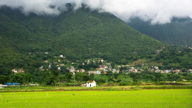 From Kathmandu: Newari Villages Culture & Cuisine Day Trip - Analyzing the Value