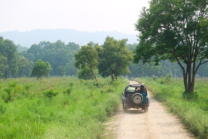 From Kathmandu: Private 3-Day Chitwan Safari Tour - Breaking Down the Itinerary: What to Expect Each Day