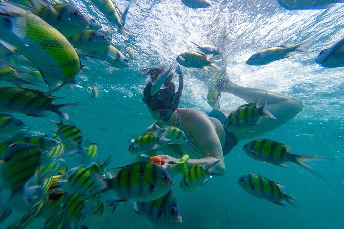 From Khao Lak : Phi Phi Islands Adventure Day Trip with Lunch - Practical Considerations: What You Need to Know