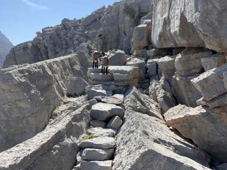 From Khasab: Explore Kumzar Hiking - What Makes This Tour Stand Out?