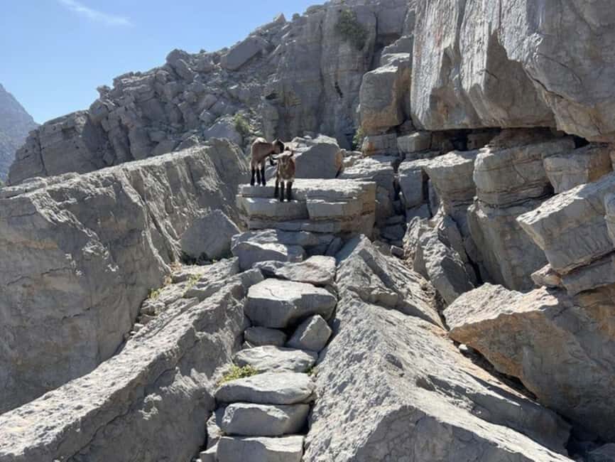 From Khasab: Explore Kumzar Hiking - What Makes This Tour Stand Out?