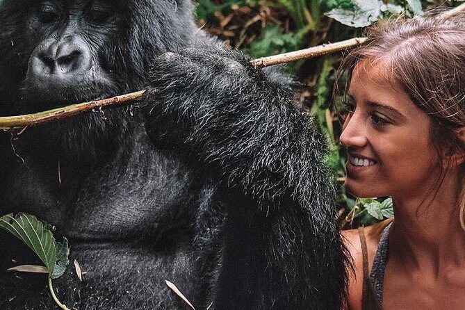 From Kigali: 10 Hour Day-trip Rwanda Gorilla Trekking with Lunch - Practical Details and Tips