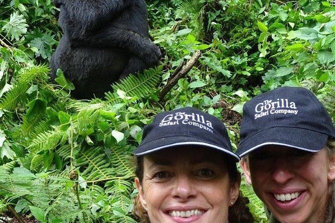 From Kigali: 3 Days Gorillas and golden monkeys trek Adventure - An In-Depth Look at the Itinerary