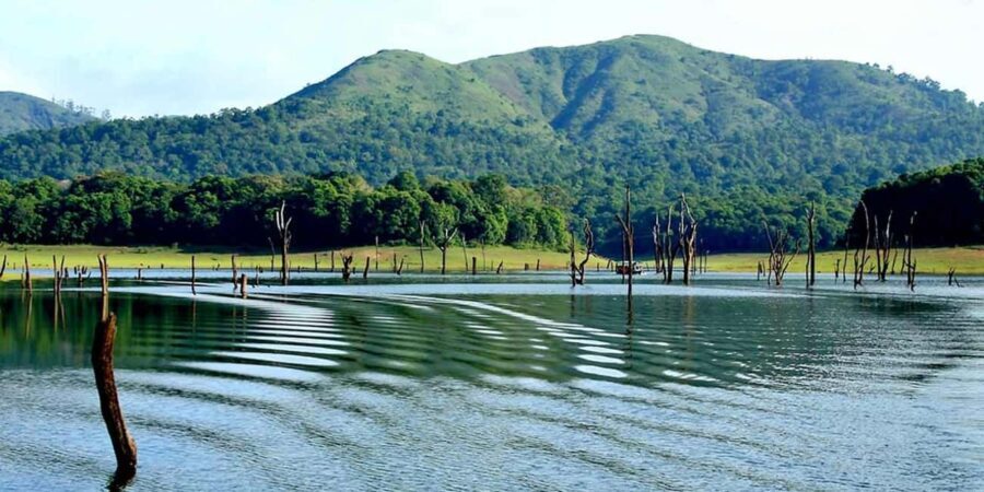 From Kochi: 3-Day Periyar Wildlife Sanctuary Tour - Day 2: Wildlife Safari and Scenic Boat Ride