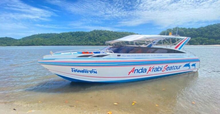 From Krabi: Phi Phi Island Full-Day Private Speed Boat Tour - What to Expect: Practical Details