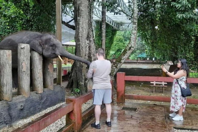 From Kuala Lumpur: Kuala Gandah & Batu Caves Day Trip - What’s Included and How It Adds Value