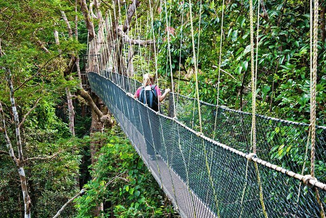 From Kuala Lumpur Taman Negara Day Trip With Lunch - Who Would Enjoy This Tour?