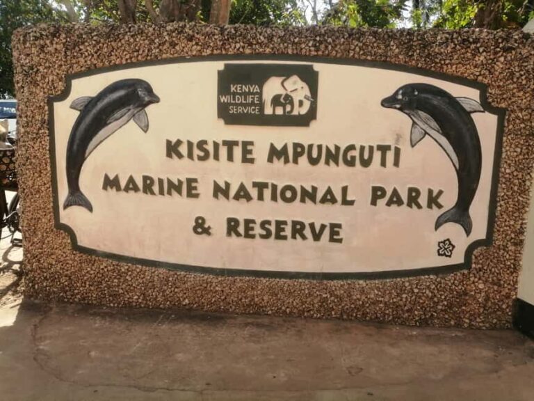 From Kwale: Kisite Mpunguti Marine National Park Tour - What to Expect