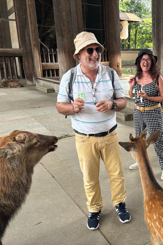 From Kyoto: Nara Guided Morning Tour - What’s Included and What’s Not