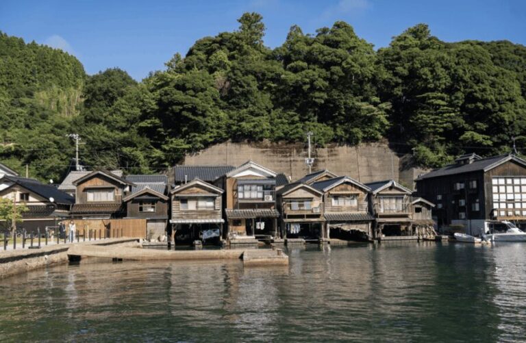From Kyoto: Private Day Trip to Hidden Amanohashidate & Ine - Final Thoughts: Who Should Take This Tour?