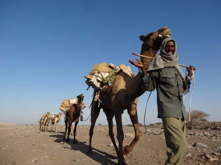 From Lalibela: 5-Day Tour Lalibela & Danakil Depression - Who Should Consider This Tour?
