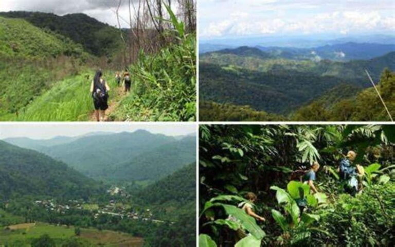 From Luang Prabang: Luang Namtha Hill Tribe Tour - What Travelers Say