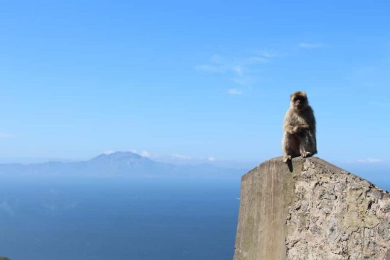 From Malaga: Gibraltar and Tangier Private Day Trip - Practical Details