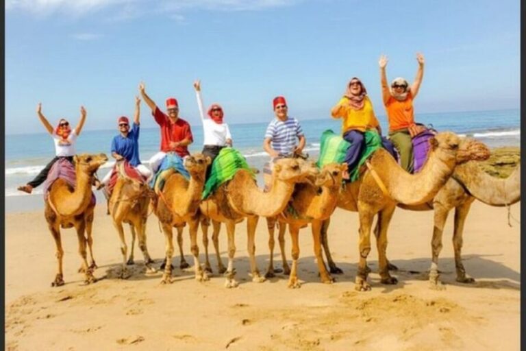 From Malaga: luxury private tour from Malaga to Tangier - What You Can Expect from the Tour