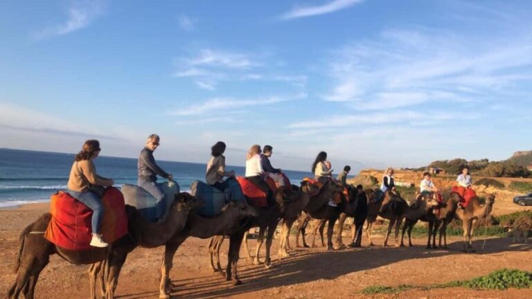 From Malaga: Private Tangier Day Tour - Transportation and Group Size