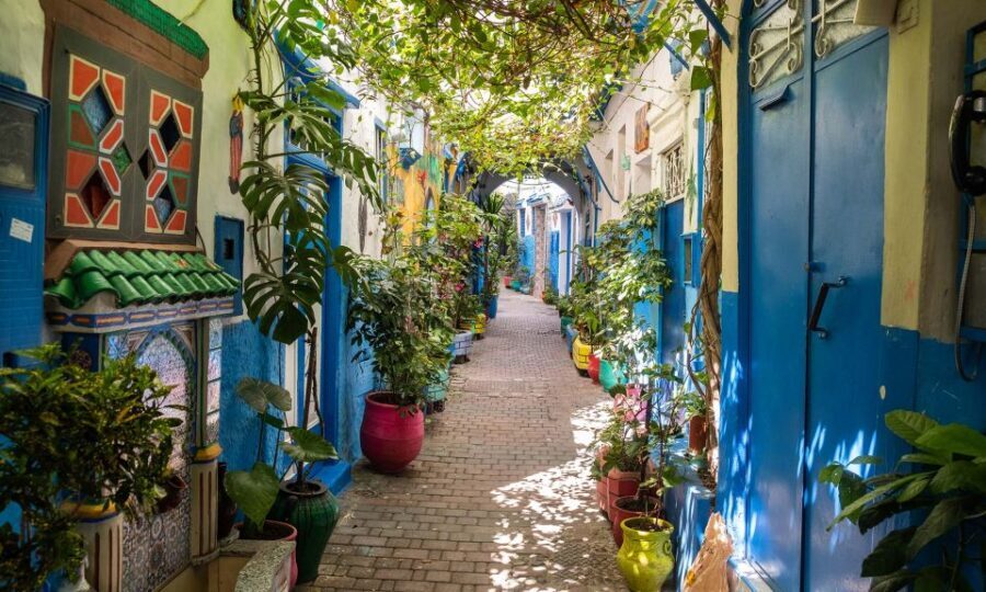 From Malaga: Tangier Private Day Trip with Ferry Tickets - Practical Details and Tips