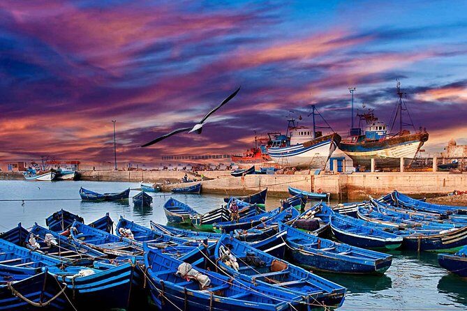 From Marrakech : 1-Day Group Trip To Essaouira - Authentic Experiences and Local Insights