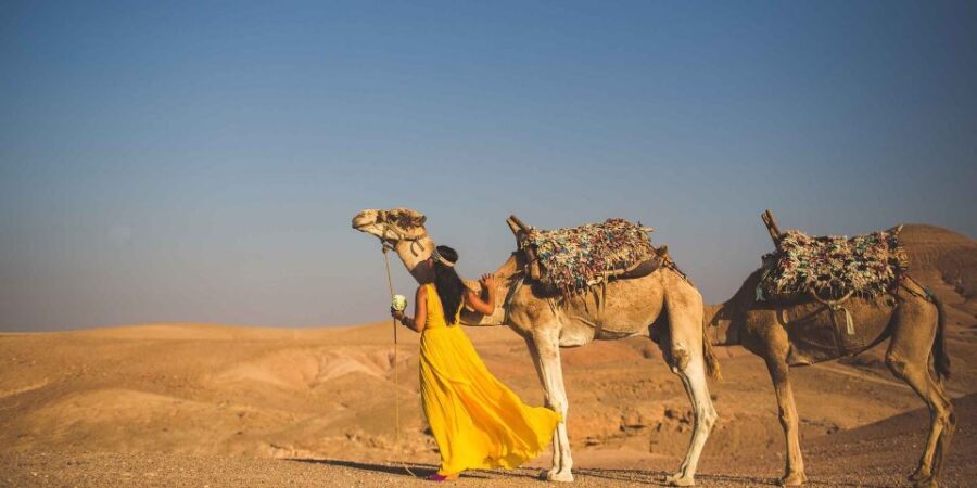 From Marrakech: 1-Hour Sunset Camel Ride in Agafay Desert - What to Expect: A Step-by-Step Breakdown