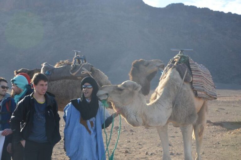 From Marrakech: 2-Day Sahara Tour to Zagora & Ait Ben Haddou - The Real Experience for Travelers