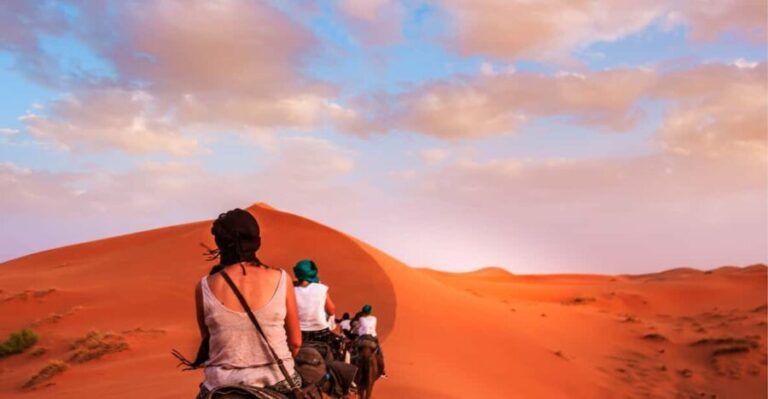 From Marrakech : 2 Days 1 night trip to Fes via Merzouga - Authentic Experiences and Genuine Reviews