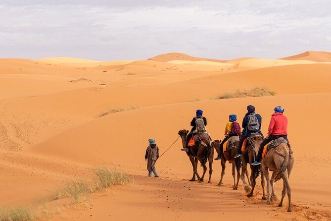 From Marrakech: 3-Day, 2-Night Merzouga Dunes Desert Trip - Reviews and Real Traveler Insights