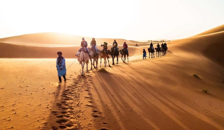 From Marrakech: 3-Day Luxury Desert Tour to Fes via Merzouga - Authentic Experiences and Value