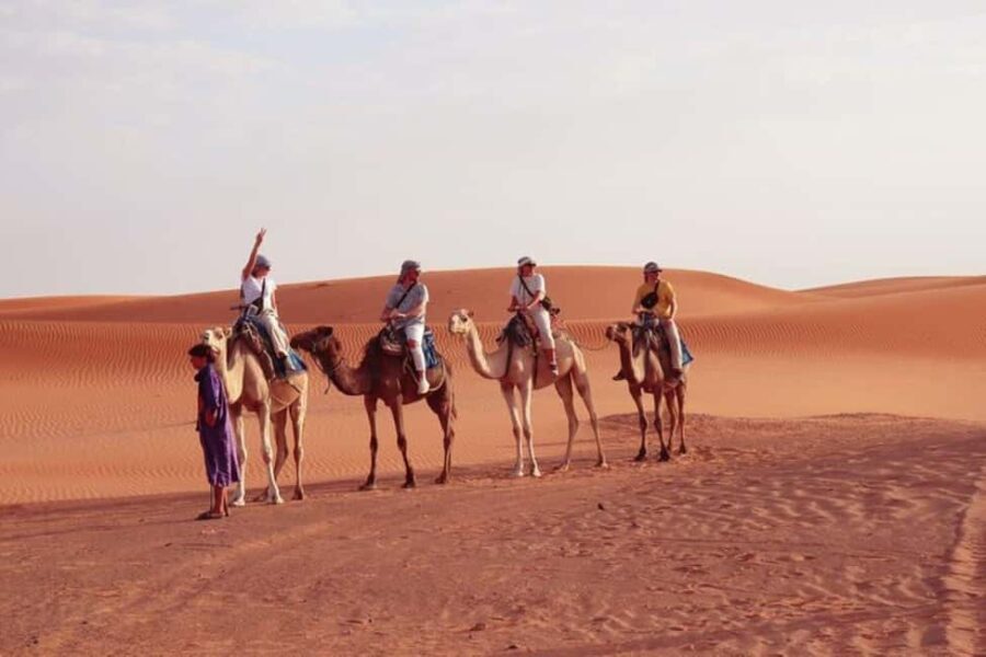 From Marrakech : 3 Day Stay in Merzouga Desert - What’s Included and What’s Not