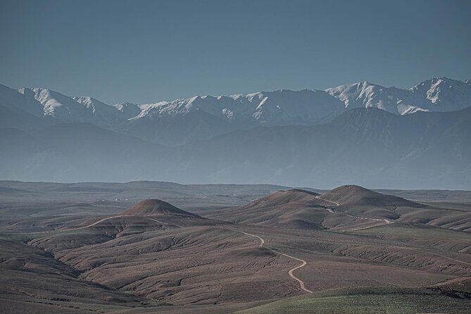 From Marrakech: Agafay Desert Camel Experience - The Camel Ride – A Memorable 1.5 Hours